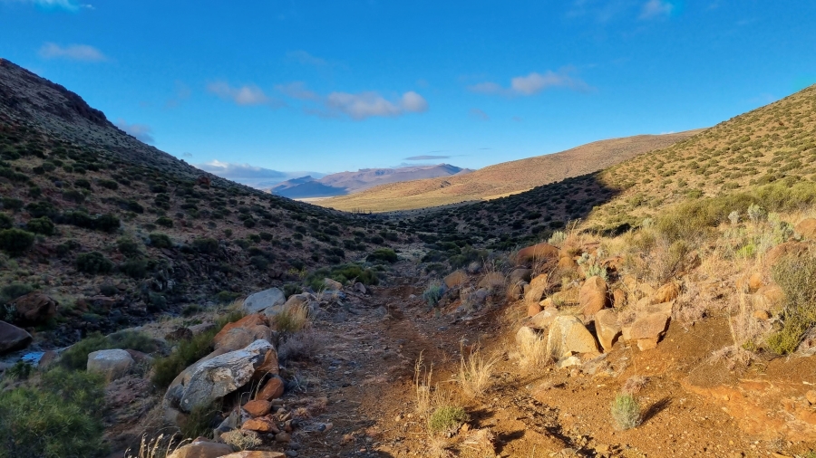 0 Bedroom Property for Sale in Middelburg Eastern Cape